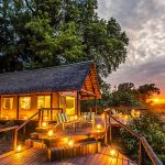 آب و هوای پارک جنگلی کروگر