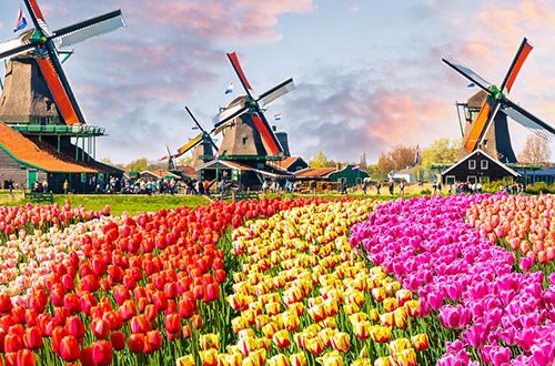 گردش در شهر آمستردام