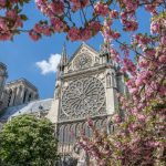 تاریخچه کلیسای نوتردام از مکان های معروف پاریس