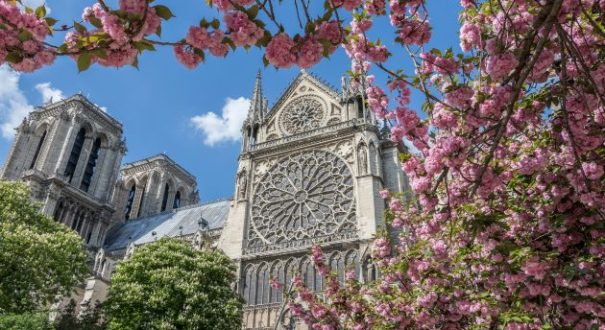 تاریخچه کلیسای نوتردام از مکان های معروف پاریس